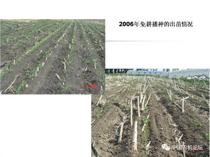 輕簡型免耕播種機的技術革新與種植應用——播種機械化發展研討會專題報告
